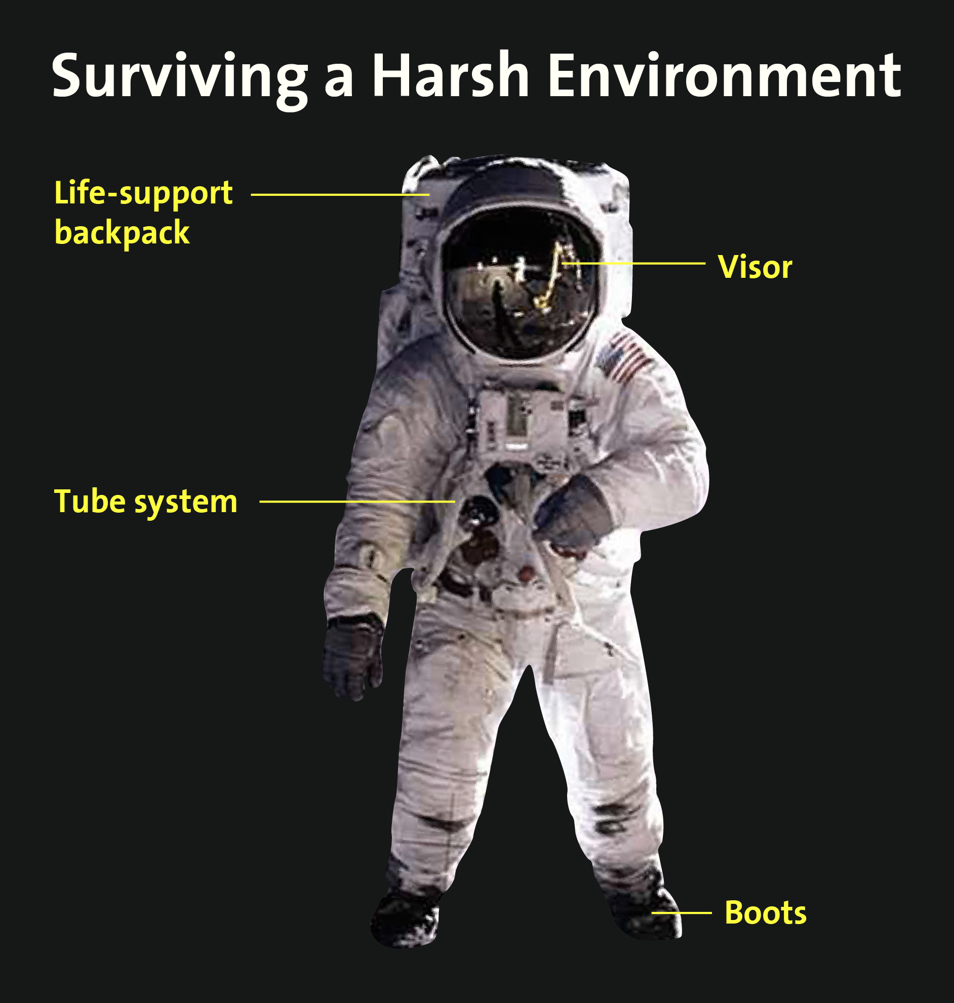 Spacesuit Diagram