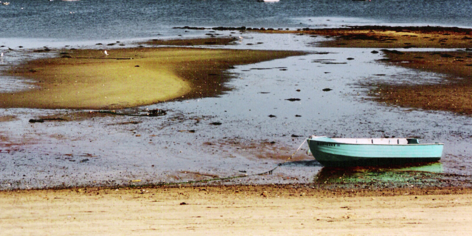 Tide pool